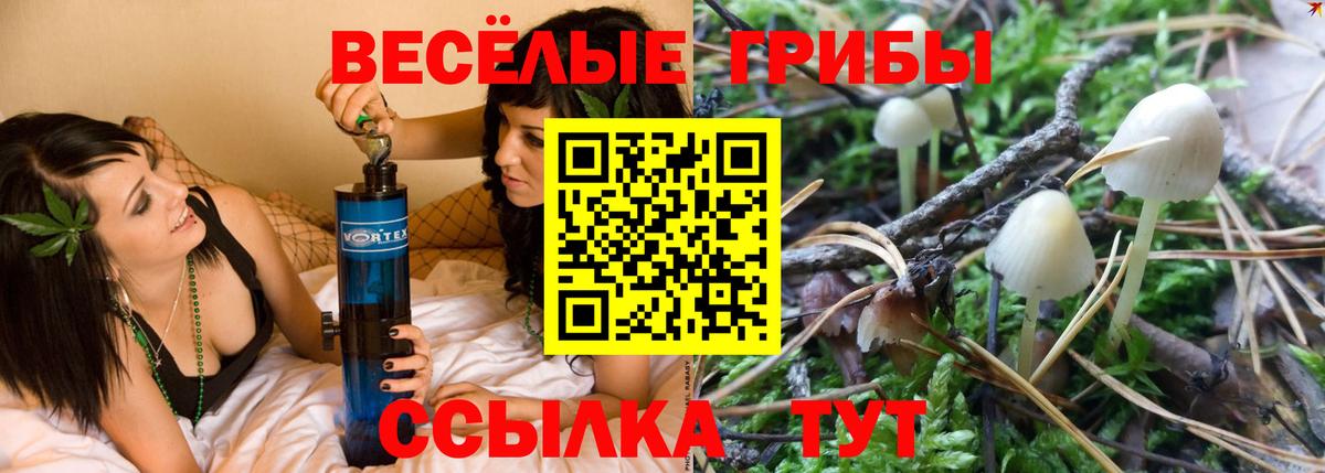 купить наркотик  Псилоцибиновые грибы MAGIC MUSHROOMS  Якутск  Вход с VPN  Галлюциногенные грибы Psilocybe 
