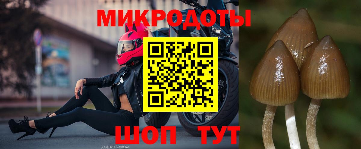 Галлюциногенные грибы ЛСД Якутск